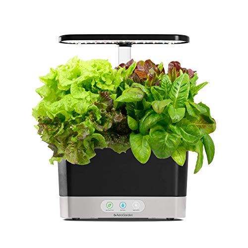 AeroGarden Récolte - Avec kit de gousses de verdures à salade Heirloom (6-Pod)