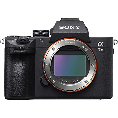 Sony Appareil photo à objectif interchangeable sans miroir plein format a7 III avec objectif optique 28-70 mm
