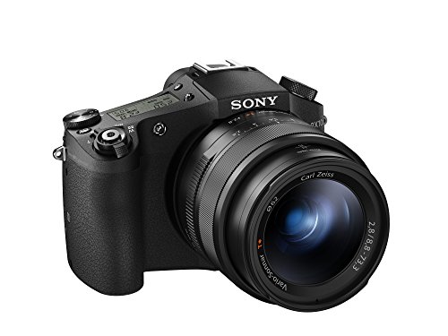 Sony Appareil photo numérique DSC-RX10M II Cyber-shot