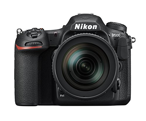 Nikon Reflex numérique au format DX D500 avec objectif ED VR 16-80 mm