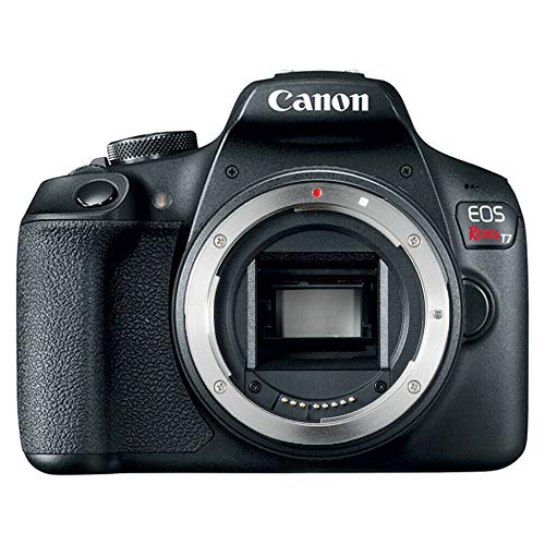 Canon Appareil photo reflex numérique EOS Rebel T7 uniquement (boîte de kit)