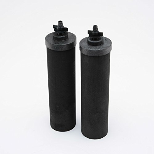 Berkey BB9-2 Éléments de filtre à eau noire de rechange (2 filtres)