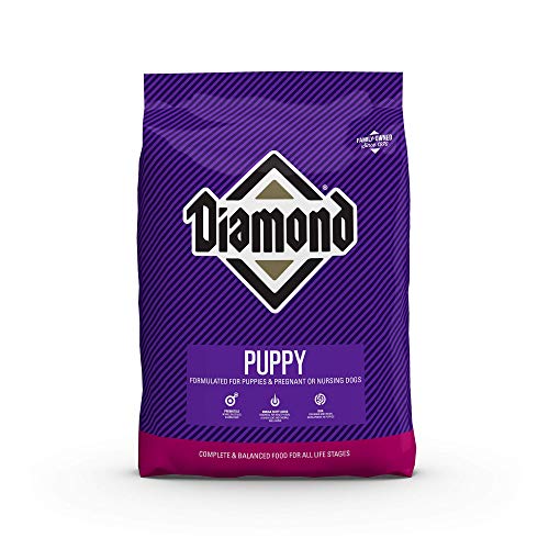 Diamond Pet Foods Diamond Premium Puppy Formule complète et équilibrée pour chiens avec protéines et probiotiques