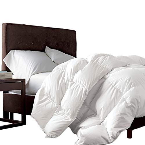 Egyptian Bedding Couette luxueuse en duvet d'oie de Sibérie 100 % coton égyptien 1200 fils au pouce carré 1200 fils au pouce carré