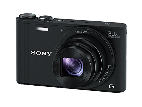 Sony Appareil photo numérique WX350 18 mégapixels