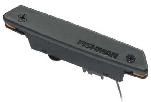 Fishman Micro à rosace passif Neo-D - Simple bobinage