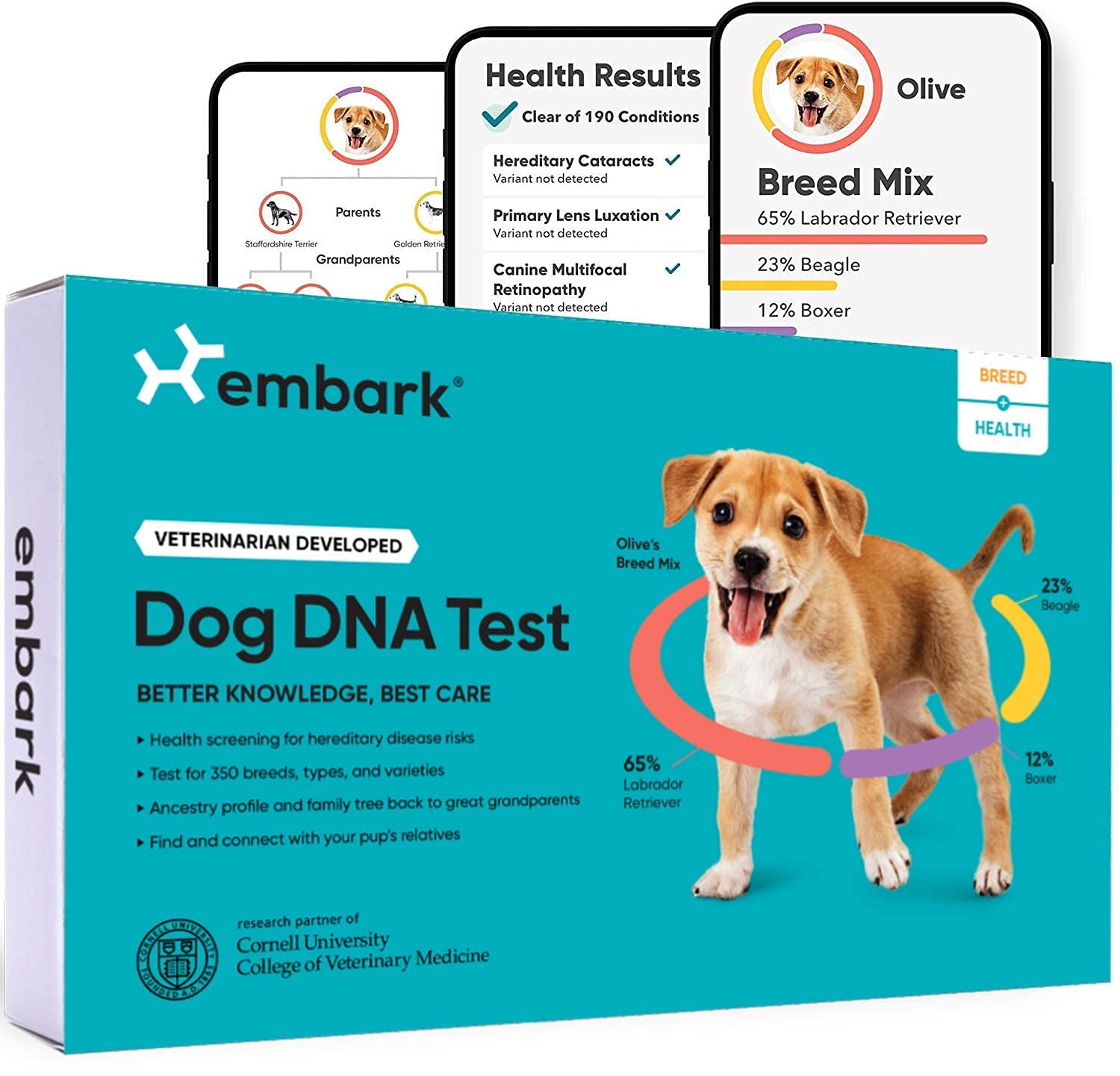Embark Kit de test ADN pour chien | Découverte de race et d'ascendance génétique | Détection des traits et de la santé | Tampon de joue à domicile