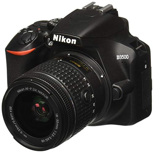 Nikon D3500 W / AF-P DX NIKKOR 18-55mm f / 3.5-5.6G VR Noir