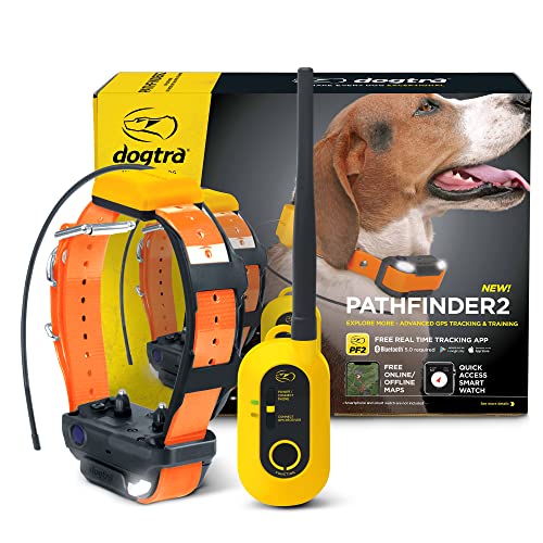 Dogtra Pathfinder 2 GPS Dog Tracker e Collier Lumière L...