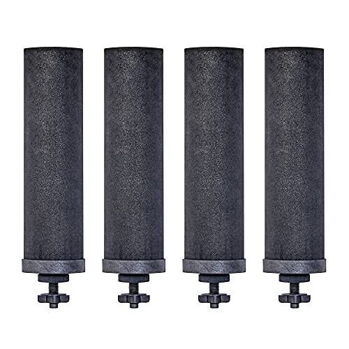 Berkey Authentic Black Elements - Filtres de rechange pour système d'eau (lot de 4)