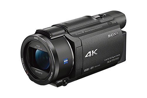 Sony FDRAX53/B Caméscope d'enregistrement vidéo HD 4K (Noir)