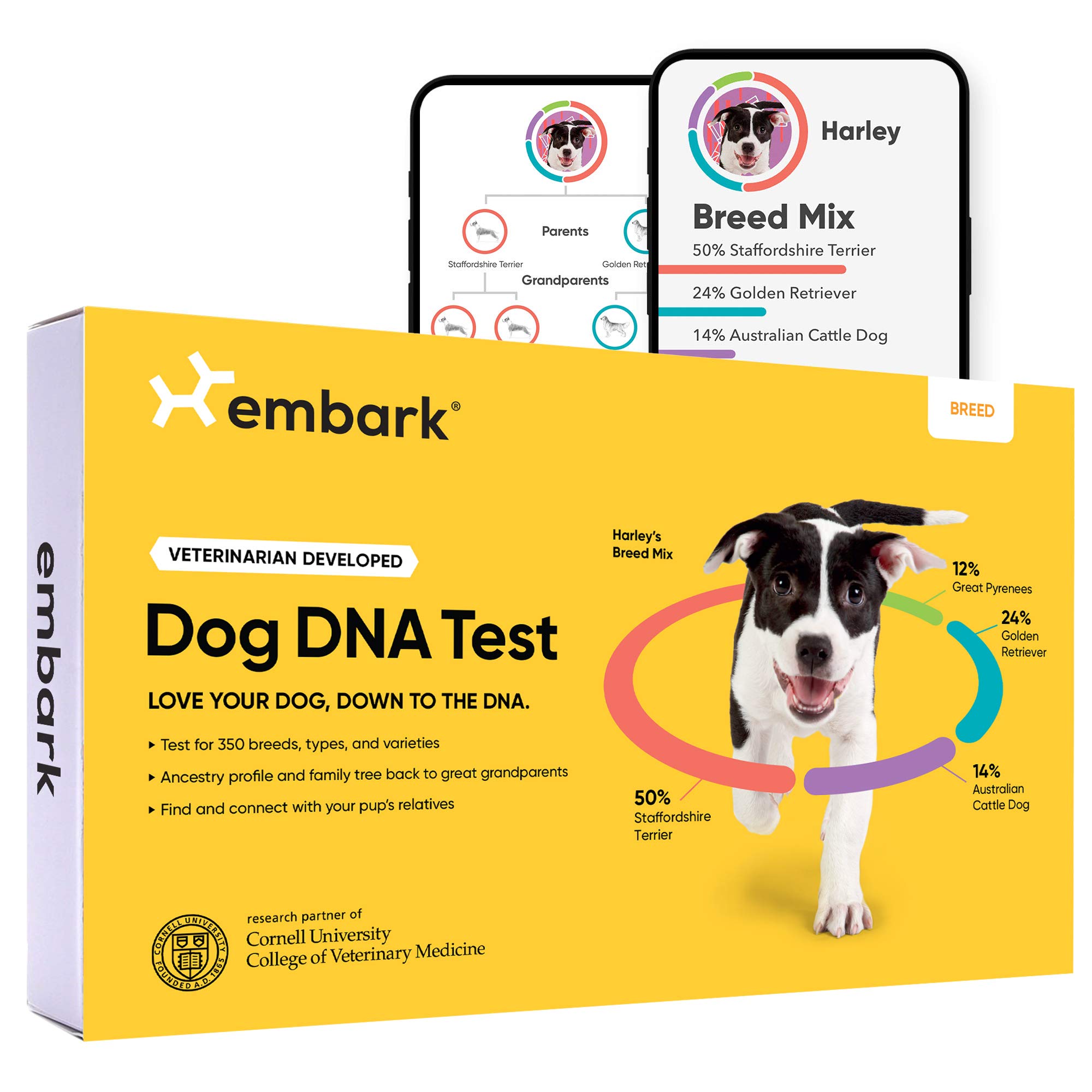 Embark Trousse d'identification de race | Test ADN de chien le plus précis | Testez plus de 350 races de chiens | Kit d'identification de race avec ascendance et arbre généalogique