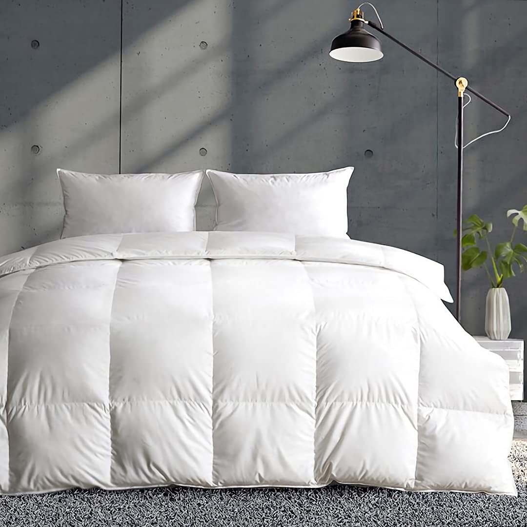 APSMILE Couette de luxe en duvet d'oie et plumes...