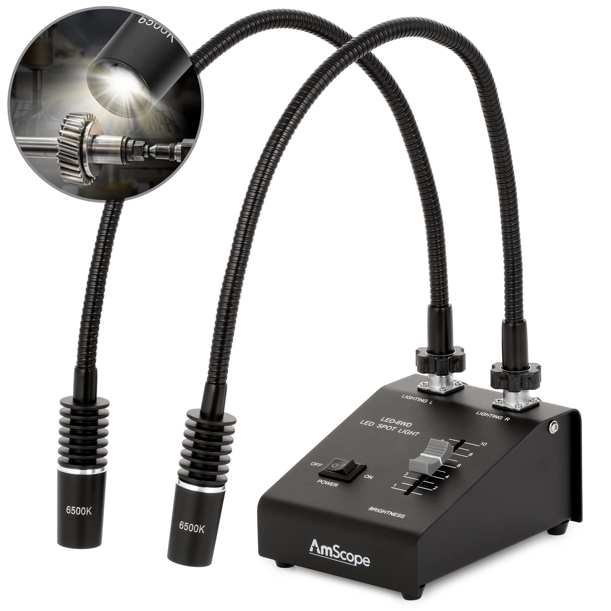 AmScope LED-6W Puissant illuminateur à double col de cygne à LED de 6 watts