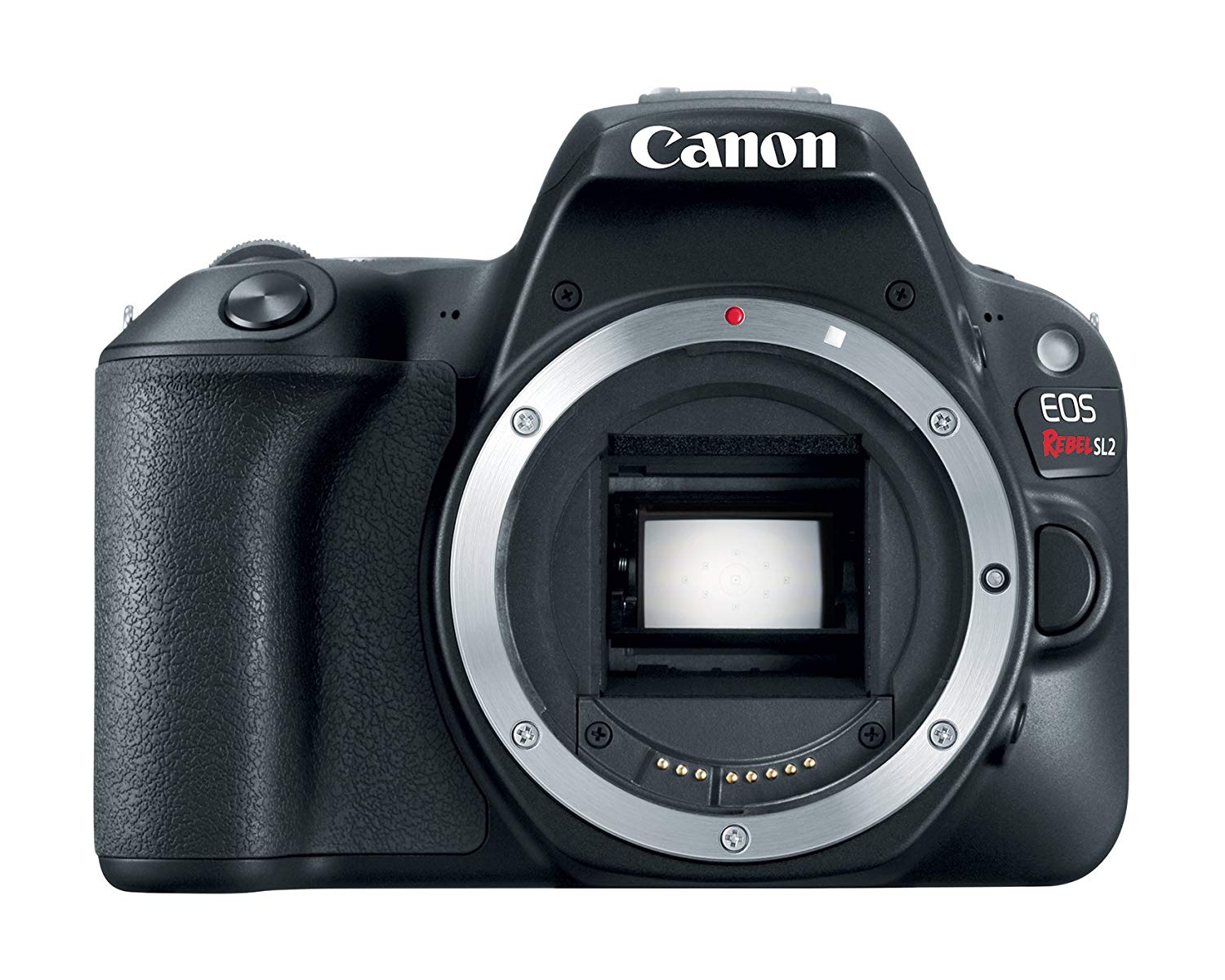 Canon Boîtier d'appareil photo reflex numérique EOS Rebel SL2 - WiFi activé