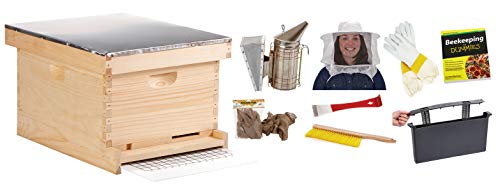 Little Giant Kit de ruche de luxe pour débutants à 10 c...