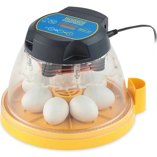 Brinsea Mini II Advance Automatic 7 Egg Incubator, Yell...